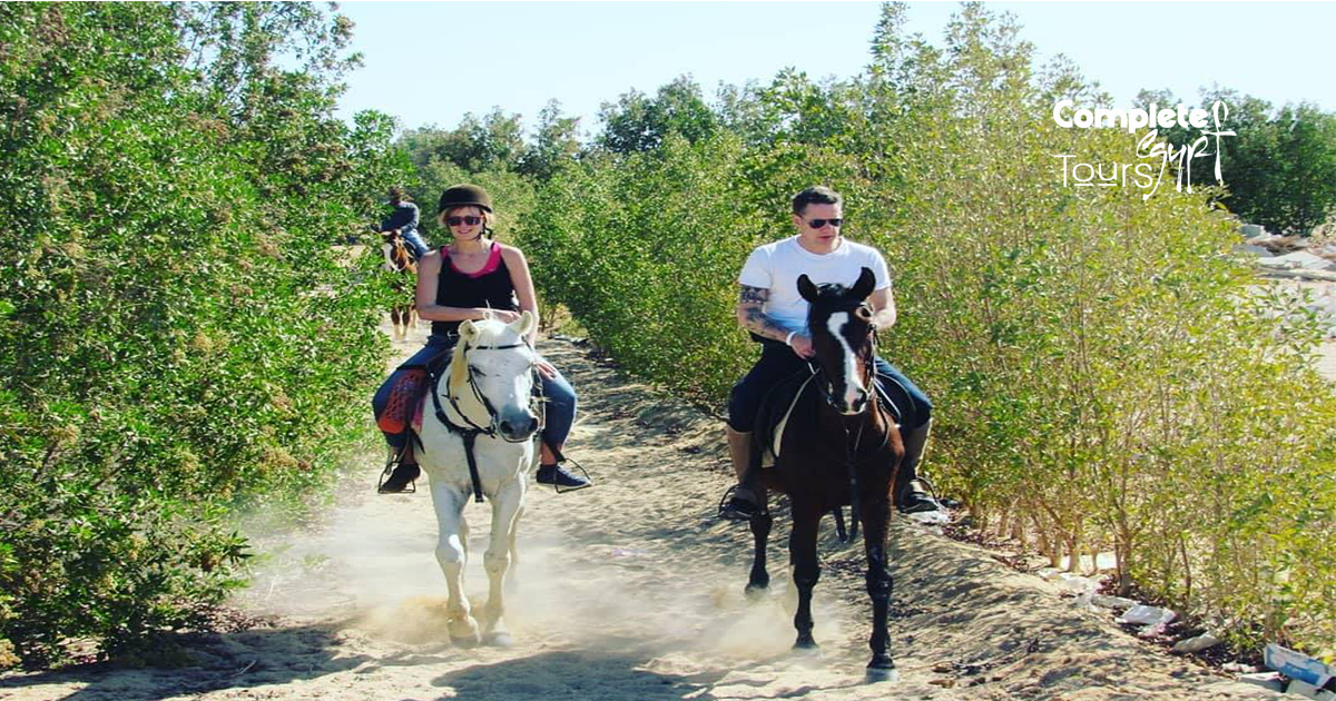 Horse Riding in Egypt