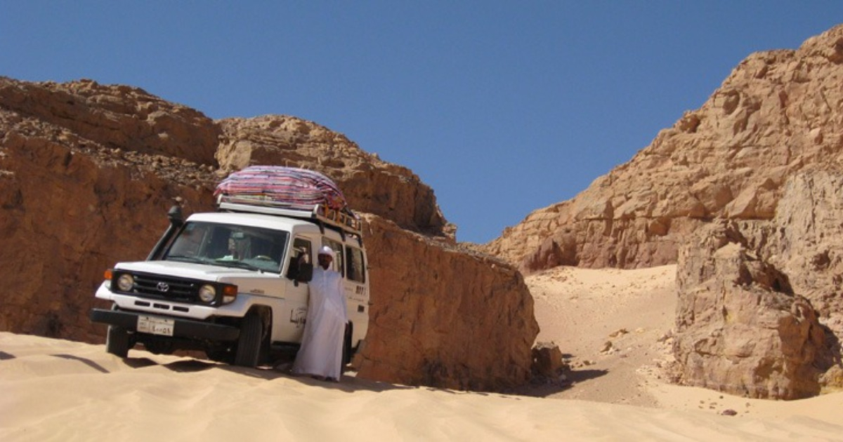 excursions from marsa alam