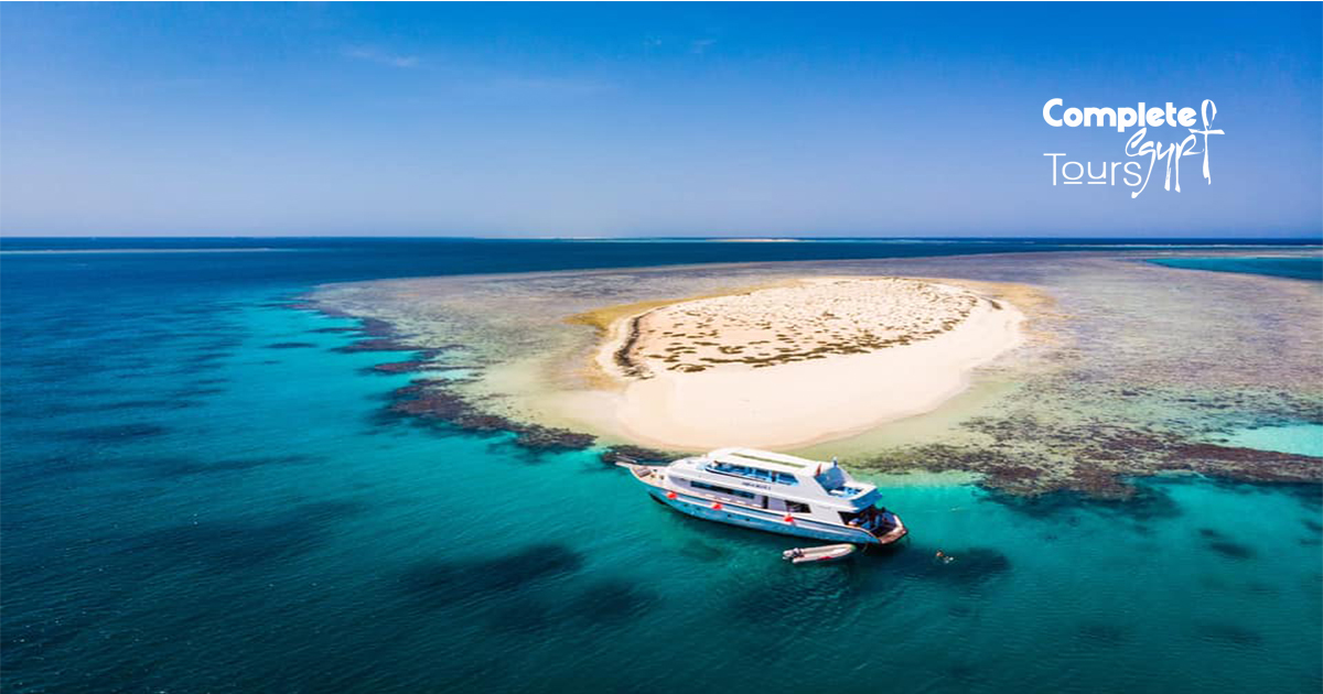 excursions from marsa alam