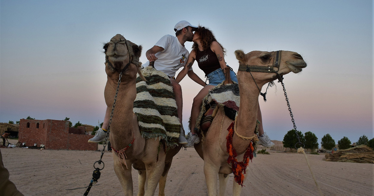 camel ride in Hurghada