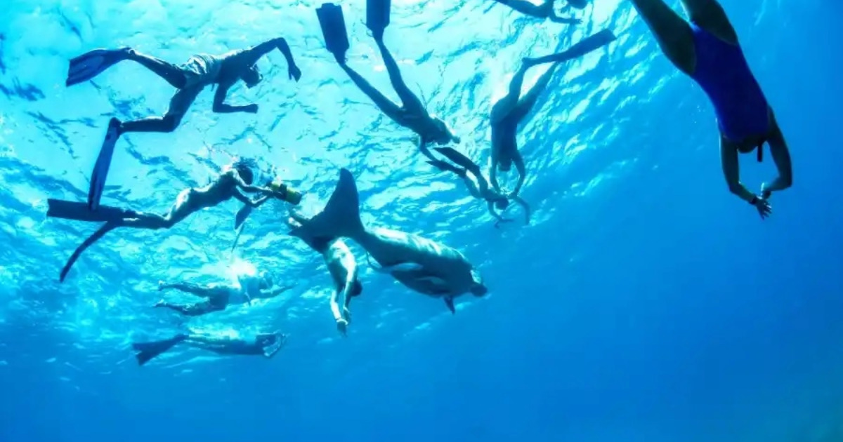 Marsa-Mubarak Snorkeling-with-dugong-and-turtles from hurghada