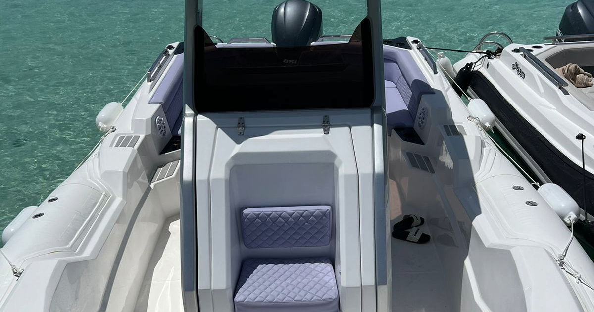 speedboat trip to Dolphin house soma bay