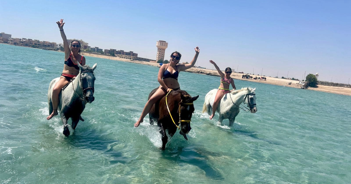 horse hurghada